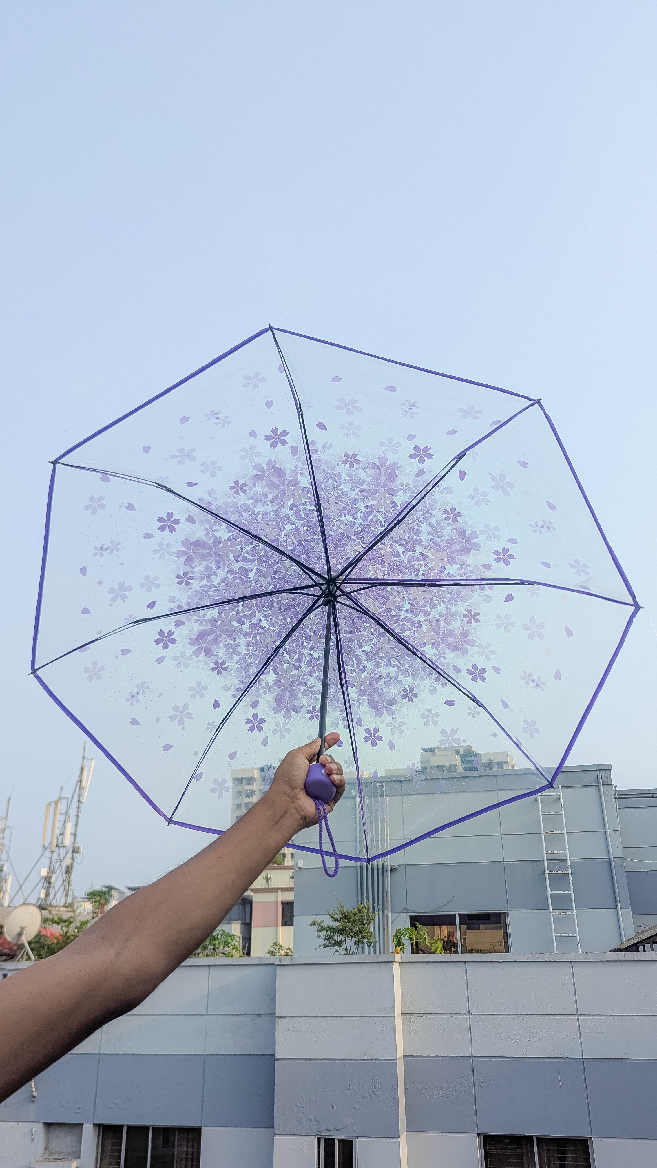 Transparent Flower Design Umbrella (8 Stick)